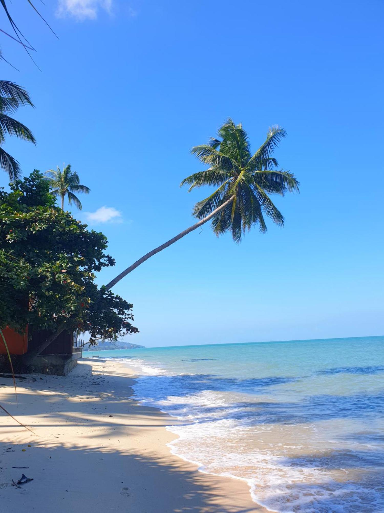 Samui Blue Bird Bed & Breakfast หาดแม่น้ำ ภายนอก รูปภาพ