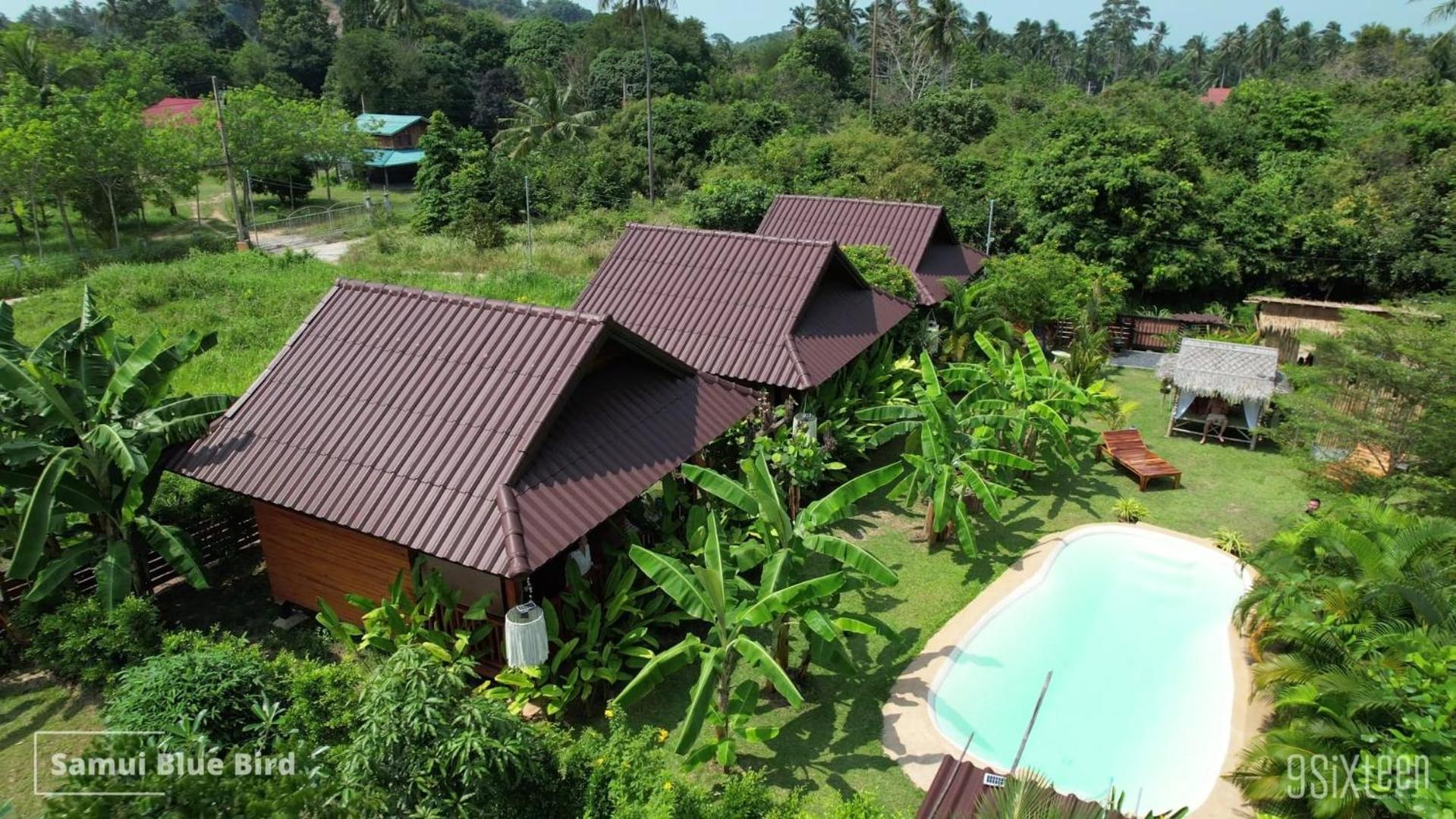 Samui Blue Bird Bed & Breakfast หาดแม่น้ำ ภายนอก รูปภาพ